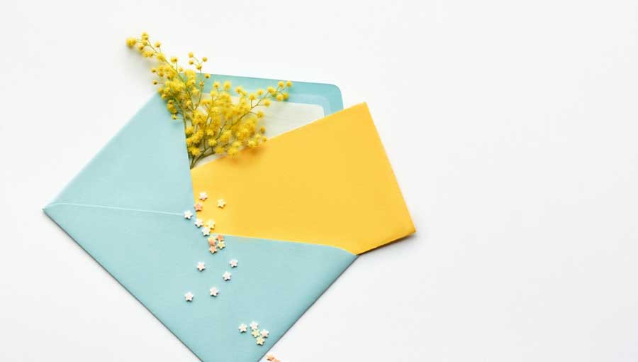 newsletter-Banner